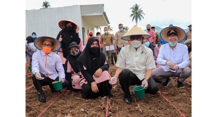 TANAM JAGUNG— Mahyeldi saat menanam jagung didampingi pejabat Pemko Payakumbuh.