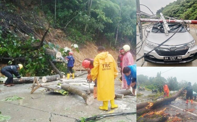 POHON TUMBANG— Hujan yang mengguyur kota Padang sejak Jumat (17/12) dinihari hingga pagi hari menyebabkan pohon dan tiang listrik tumbang hingga menyebabkan akses jalan terhambat dan menimpa satu unit mobil di kawasan Lubuk Paraku.