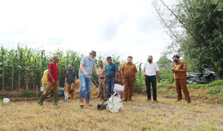 TANAM— Wali Kota Payakumbuh, H Riza Falepi, saat menanam bibit jagung dengan menggunakan alat modren.