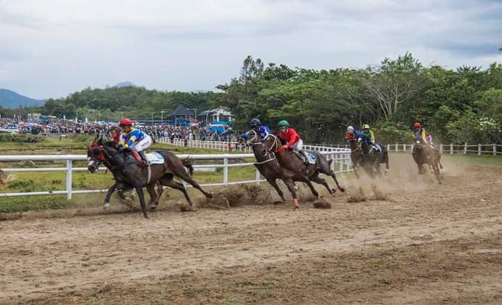Kuda Betina Cahaya Delima menjuarai turnamen