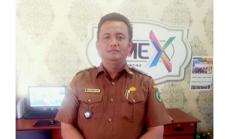 Cetak Generasi Penghafal Quran, Nagari Languang Sediakan Anggaran Khusus 1 Muhammad Ilbar
Walinagari Languang Kecamatan Rao Utara Pasaman.