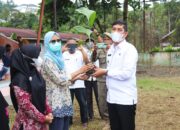 Wako Sawahlunto Salurkan 7.651 Bibit Pinang Super