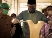 Padangpanjang Produksi Keju Mozarella