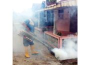 Antisipasi DBD, Dinkes Agam Fogging Rumah Warga