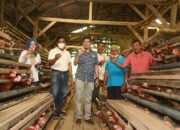 Pemko Sawahlunto Peduli Pembudidaya Ikan dan Ayam, Tingkatkan Ilmu dan Skill dengan Memfasilitasi Pelatihan