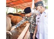 Pemnag Duo Koto Gelar Pengobatan Massal Ternak Warga