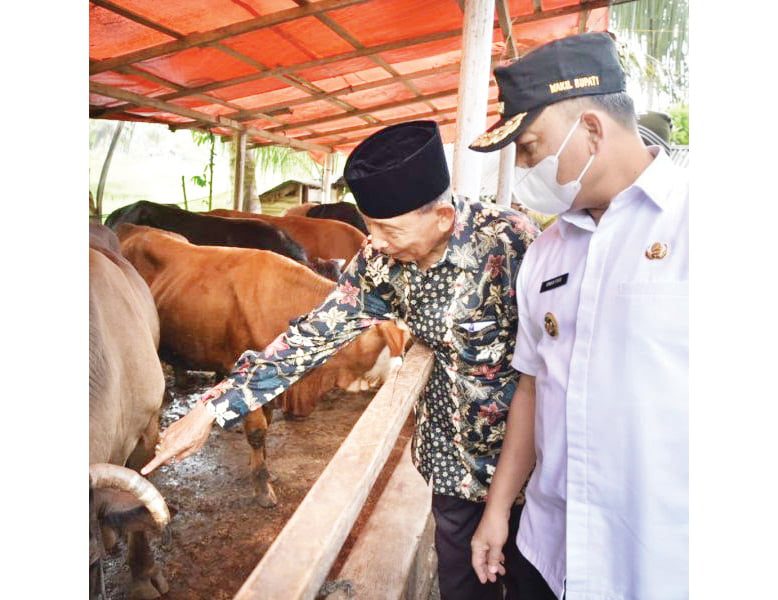 Pemnag Duo Koto Gelar Pengobatan Massal Ternak Masyarakat