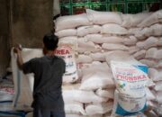 Pengawasan Pupuk Bersubsidi jadi Atensi Kejaksaan Sijunjung