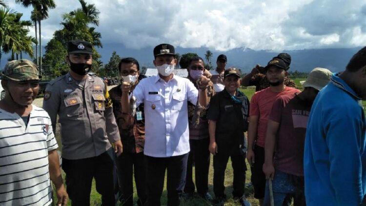 Wakil Bupati Pasaman Sabar AS menghadiri perburuan tikus massal di Tanjung Aro, Nagari Bahagia, Kecamatan Padanggelugur, Kamis (6/1).