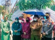 Dasawisma Ikut Sukseskan 10 Program PKK di Padangpariaman