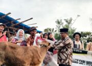 Anggota DPR RI Hermanto, Salurkan Bantuan Sapi kepada Kelompok Peternak di Kota Sawahlunto