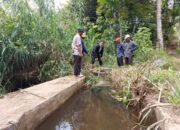 Cari Sumber Air Aliri Sawah di Kawasan Tanah Garam, Wawako: Batang Imang Payo dapat Dimanfaatkan