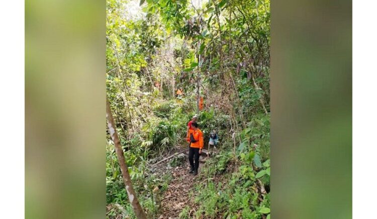 PENCARIAN— Petugas SAR melakukan pencarian terhadap Sulaiman (61) yang hilang dalam hutan Pasbar.