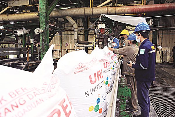 Subsidi pupuk untuk  Provinsi Sumbar sesuai alokasi. Hingga per 20 Februari, total stok tercatat 11.718 ton.