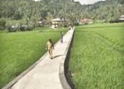 2022, Pemkab Agam Bangun 48 Paket Jaringan Irigasi