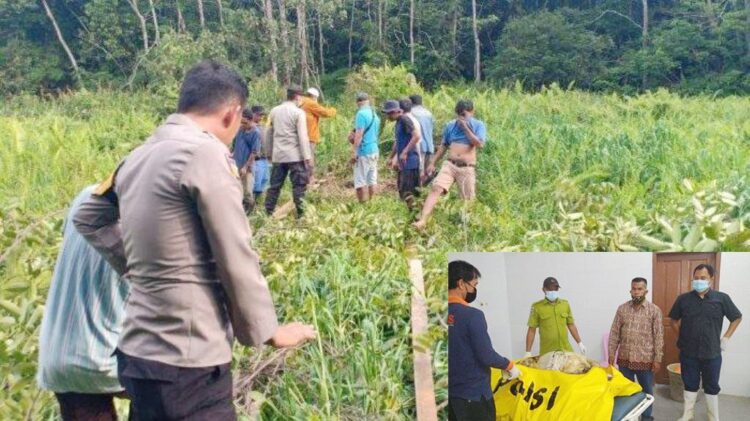 OLAH TKP— Polisi melakukan olah TKP penemuan mayat wanita asal Dharmasraya dalam karung yang diduga korban pembunuhan.