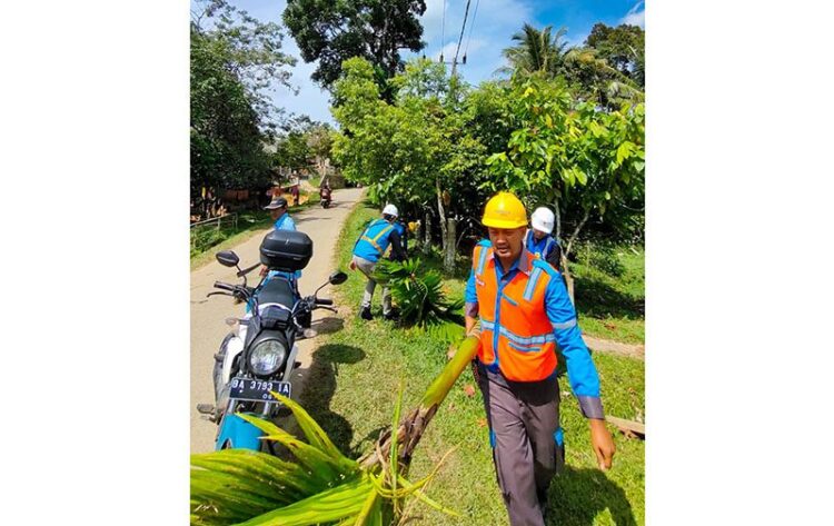 Perangkat Nagari Dukung PLN Lakukan Pembersihan Jaringan di Solok 1 Pembersihan jaringan listrik di sekitar Nagari Kuncir Kuning, solok.