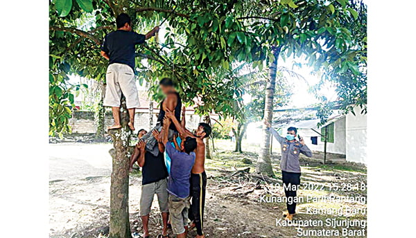 GANTUNG DIRI— Warga menurunkan jasad pria paruh baya berinisial MI (58) yang diduga gantung diri di pohon manggis.