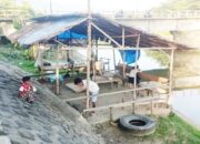 Pemilik Warung Remang-remang di kawasan Jalan Dadok Tunggul Hitam Bongkar Bangunannya Sendiri