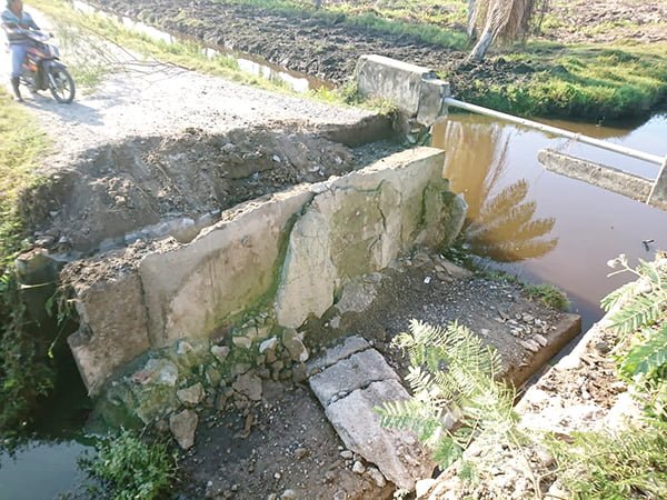 Jembatan Afdeling Carly Muaro Putuih Ambruk, Ribuan Warga Terisolasi dan Perekonomian Lumpuh 1 AMBRUK— Jembatan Afdeling Carly Jorong Muaro Putuih, Nagari Tiku V Jorong, Kecamatan Tanjung Mutiara, ambruk, sehingga mengisolasi ribuan warga.