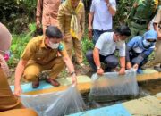 7500 Ekor Bibit Ikan  Ditebar di Irigasi Desa Rantih