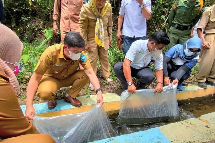 TEBAR BIBIT IKAN--Walikota Sawahlunto Deri Asta bersama GM PTBA Sawahlunto Yulfaizon menebar bibit ikan nila di aliran irigasi Desa Rantih.