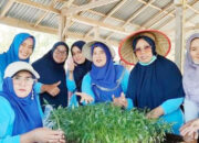 PKK dan Dasawisma Pa­dang­­pariaman Bergerak Sampai Tingkat Nagari