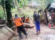 Angin Kencang Disertai Hujan Landa Kota Arang, Dua Rumah Warga Alami Kerusakan