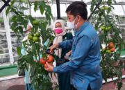 Gelar Pelatihan, Pemko Sawahlunto Gandeng BPVP Bandung Barat