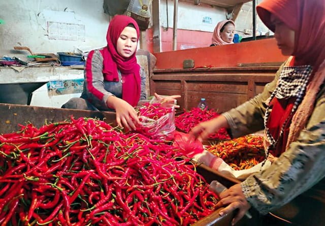 Harga Cabai Diperkirakan Akan Terus Melonjak di Bulan Puasa 1 Illustrasi.