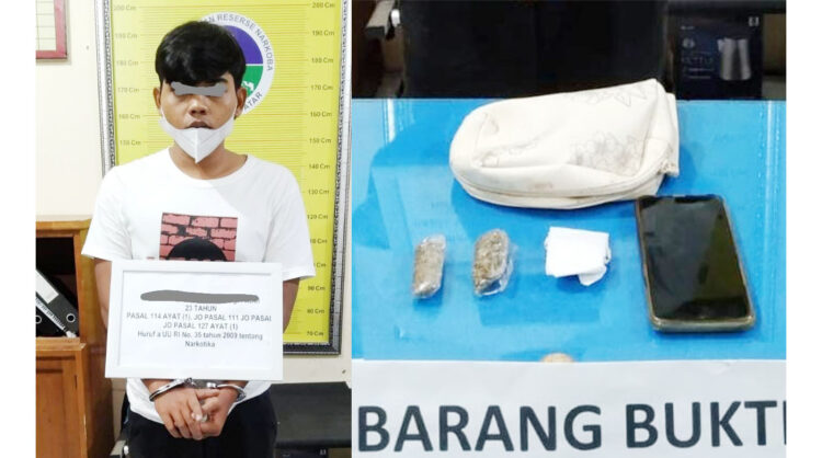 PENGEDAR GANJA— 
Pelaku MFR bersama barang bukti tiga paket ganja diamankan di Mapolres Tanahdatar usai ditangkap di rumah orang tuanya.