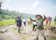 Bentuk Dukungan Program Unggulan Tanahdatar, Nagari Sumpur Launching Bajak Gratis