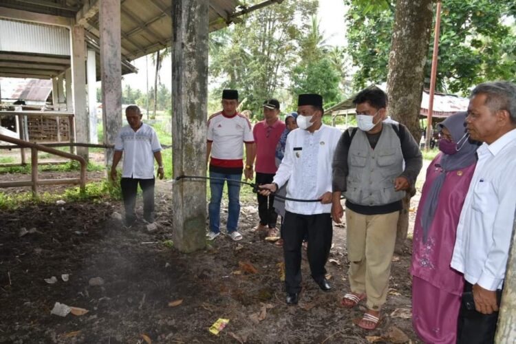TINJAU PASAR TERNAK— Wabup Padangpariaman Rahmang saat meninjau Pasar Ternak Sungai Sariak untuk melihat kondisi ternak.