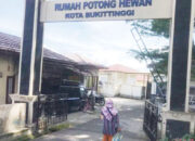 Kasus PMK pada Sapi Tidak Pengaruhi Harga Daging di Kota Bukittinggi