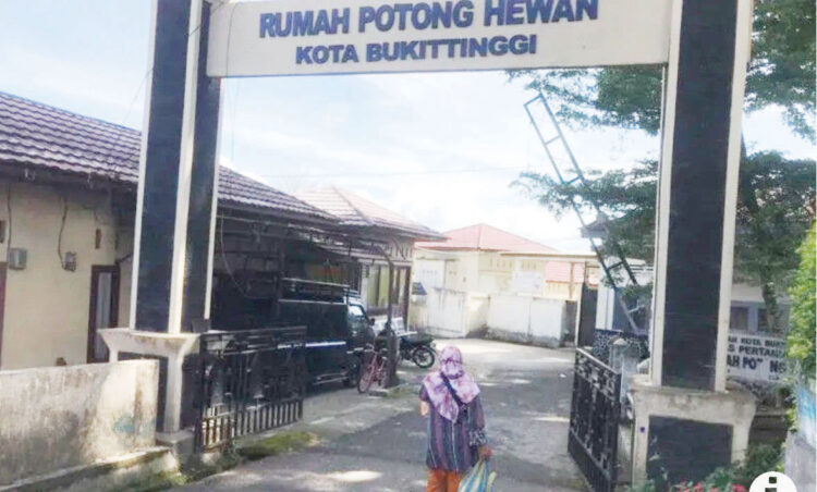 Kasus PMK pada Sapi Tidak Pengaruhi Harga Daging di Kota Bukittinggi 1 TAK PENGARUHI— Kasus PMK pada ternak sapi tiak mempengaruhi harga daging di Kota Bukittinggi, sehingga Rumah Potong Hewan tetap beroperasi.