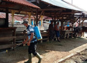 Cegah PMK, Kandang Ternak Disemprot Desinfektan