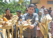 Pemko Sawahlunto Dukung Petani dengan Bantuan Bibit dan Alsintan