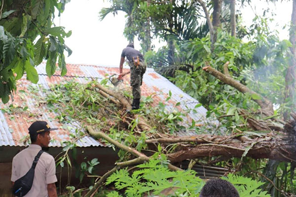 EVAKUASI— Tim TRC BPBD Padang melakukan evakuasi pohon tumbang yang menimpa rumah warga di di Kelurahan Bukit Gado-Gado Kota Padang Jumat (20/5)
