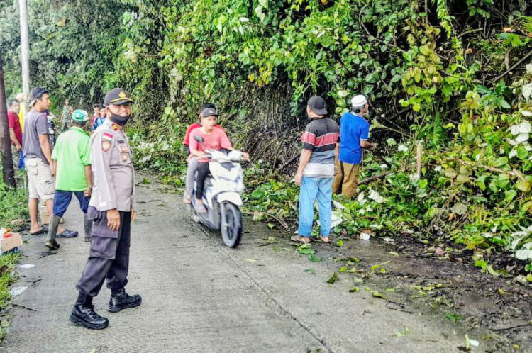 BERJIBAKU— Kapolsek Sikakap Iptu Januar berjibaku bersama warga membabat semak menuju Pelabuhan Weka rawan kriminal yang ditumbuhi semak belukar setinggi orang dewasa, kini sudah menjadi bersih.