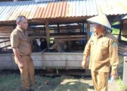 Turunkan PMK untuk Masyarakat Pemelihara Hewan Ternak