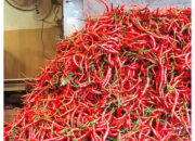 Harga Cabai Tembus Rp 65 Ribu Per Kilogram, Cuaca Panas Jadi Salah Satu Penyebabnya!