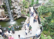 Sambut Libur Panjang, Pemko Bukittinggi Maksimalkan Objek Wisata