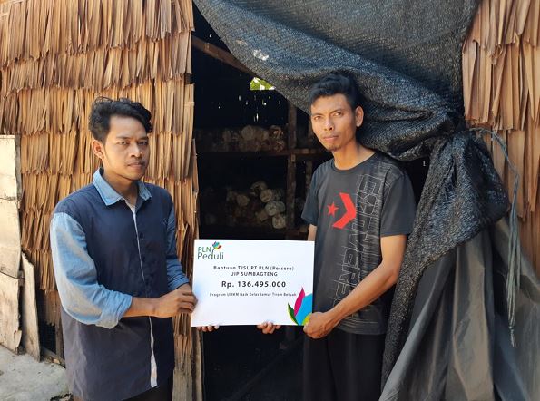 UMKM Budi Daya Jamur Tiram, KUB Jamur Betuah menerima bantuan pengembangan dari PLN Peduli.