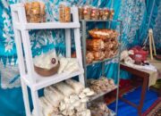 Beragam Produk Unggulan UMKM Dipromosikan di Jambore Kader PKK Tingkat Kota Padangpanjang