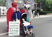 Desakan Legalisasi Ganja untuk Medis Mencuat, Mabes Polri Buka Suara