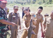 Pokmaswas Panen Ikan Lubuk Larangan di Kecamatan Talawi 