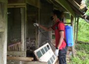 Antisipasi Penyebaran PMK Jelang Hari Raya Kurban, UPTD Puskeswan Gandeng BPP Talawi