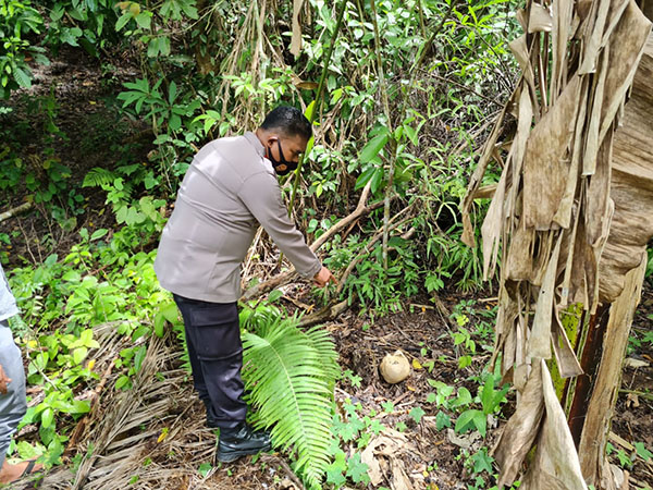 Temuan Tengkorak Kepala Manusia di Sungai Sariak Bikin Geger 1 TEMUKAN TENGKORAK— Kapolsek VII Koto AKP Emel Sangra melakukan olah TKP penemuan tengkorak kepala manusia yang ditemukan warga, Rabu (22/6).