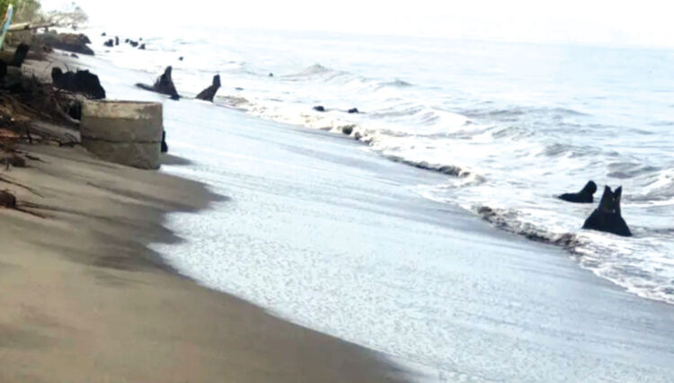 Abrasi Landa Pantai Masang, Daratan Tergerus, Kapal Nelayan Rusak 1 abrasi — Kawasan pesisir pantai Jorong Masang, Nagari Tiku Lima Jorong, Kecamatan Tanjungmutiara yang dilanda abrasi akibat gelombang pasang melanda daerah itu pada pertengahan Juni yang lalu.