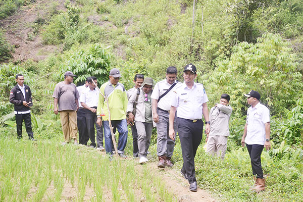 Rencana Bantuan Bedah Rumah Sebanyak 17 Unit, Wako Sawahlunto Deri Asta Pantau Langsung Dusun Bonou 1 TELUSURI—Wako Deri Asta telusuri Desa Tumpuak Tangah, Kecamatan Talawi untuk membangun akses jalan dukung objek wisata geopark.